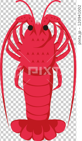 Lobster, shrimp, seafood, seafood, New Year, illustration, material 120941002