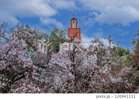 モロッコ 120941131