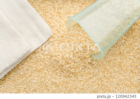 Rice Rice 120942345
