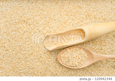Rice Rice 120942348