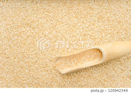 Rice Rice 120942349