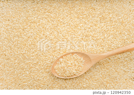 Rice 120942350