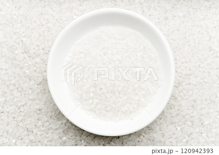 Rice 120942393