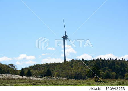 郡山布引風の高原　2024-10-3　＃79 120942438