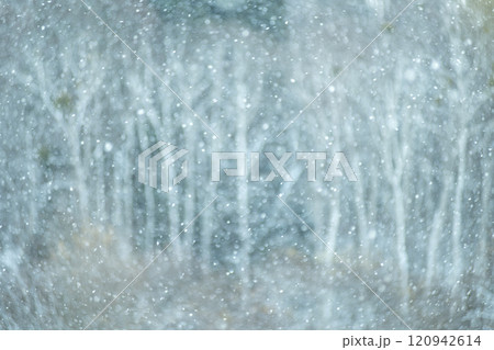 大雪のイメージ(恩原高原周辺) 大雪のイメージ(恩原高原周辺) 120942614
