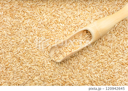 Oatmeal 120942645