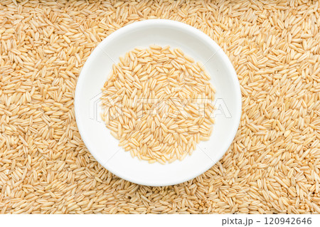 Oatmeal Oatmeal 120942646