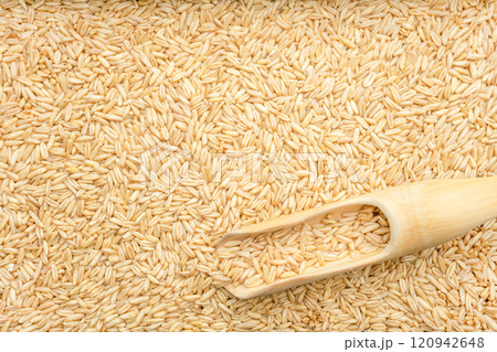 Oatmeal Oatmeal 120942648