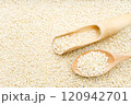 Sorghum Rice 120942701