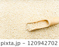 Sorghum Rice 120942702