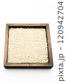 Sorghum Rice 120942704