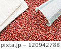 Adzuki Bean 120942788