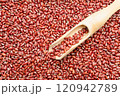 Adzuki Bean 120942789