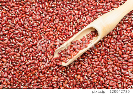 Adzuki Bean 120942789
