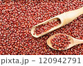 Adzuki Bean 120942791
