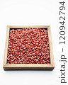 Adzuki Bean 120942794