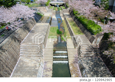 桜が満開の箕面萱野駅周辺 桜が満開の箕面萱野駅周辺 120942905