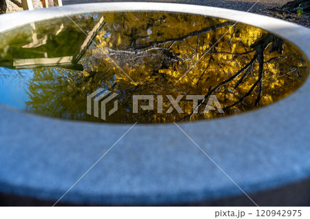 水面に映る紅葉 120942975