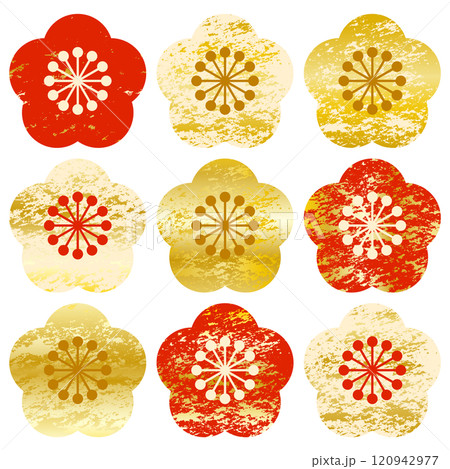 金箔の模様入りの梅の花アイコンセット 金箔の模様入りの梅の花アイコンセット 120942977