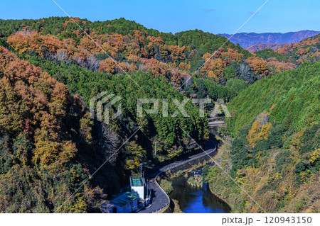 2024初冬の奈良布目ダム 快晴の空と湖畔の紅葉 流れ下る布目川と山肌の紅葉 2024初冬の奈良布目ダム 快晴の空と湖畔の紅葉 流れ下る布目川と山肌の紅葉 120943150