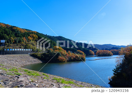 2024初冬の奈良布目ダム 快晴の空と湖畔の紅葉 なだらかな稜線と湖畔の紅葉 2024初冬の奈良布目ダム 快晴の空と湖畔の紅葉 なだらかな稜線と湖畔の紅葉 120943156