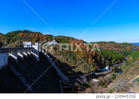 2024初冬の奈良布目ダム　快晴の空と湖畔の紅葉　ダム下流側に大きく影を落とすダム堰堤② 120943158