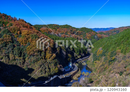 2024初冬の奈良布目ダム　快晴の空と湖畔の紅葉　遠景の山へと続く布目川 120943160