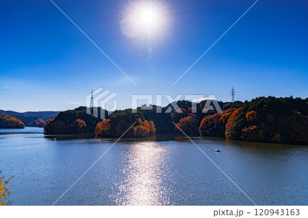 2024初冬の奈良布目ダム 快晴の空と湖畔の紅葉 燦然と輝く太陽とシルエットの中から浮かび上がる紅葉 2024初冬の奈良布目ダム 快晴の空と湖畔の紅葉 燦然と輝く太陽とシルエットの中から浮かび上がる紅葉 120943163