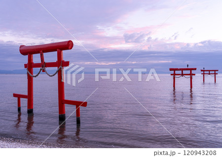 佐賀県太良町　朝の有明海の浅瀬に立つ秋の海中鳥居 120943208