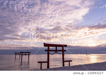 佐賀県太良町　朝の有明海の浅瀬に立つ秋の海中鳥居 120943227
