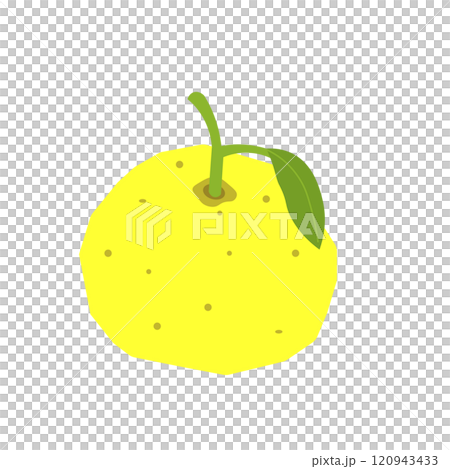 葉っぱのついた柚子のベクターイラスト 120943433