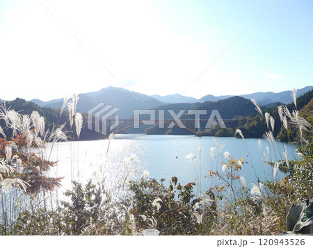 宮ケ瀬湖　鳥居原園地 120943526