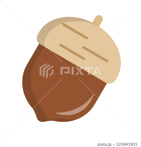 どんぐり 120943955