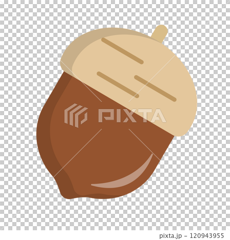 どんぐり 120943955