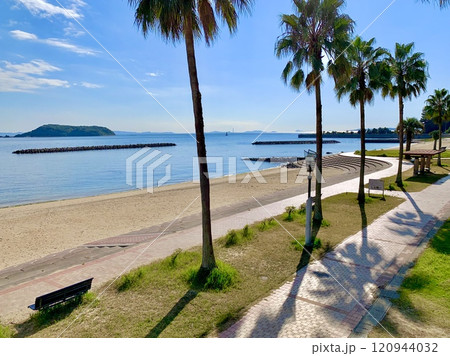 三河湾越しに渥美半島を望むヤシ並木のプロムナード〈吉良ワイキキビーチ(宮崎海水浴場)/愛知県西尾市〉 三河湾越しに渥美半島を望むヤシ並木のプロムナード〈吉良ワイキキビーチ(宮崎海水浴場)/愛知県西尾市〉 120944032