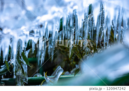 埼玉県　尾ノ内百景の氷柱 120947242