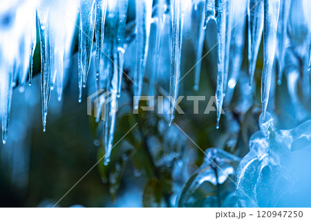 埼玉県　尾ノ内百景の氷柱 120947250