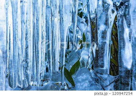 埼玉県　尾ノ内百景の氷柱 120947254