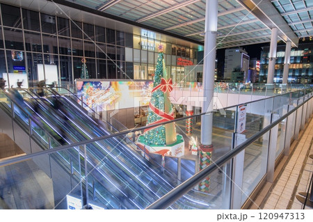 名古屋市、JRゲートタワーのクリスマスツリー 120947313
