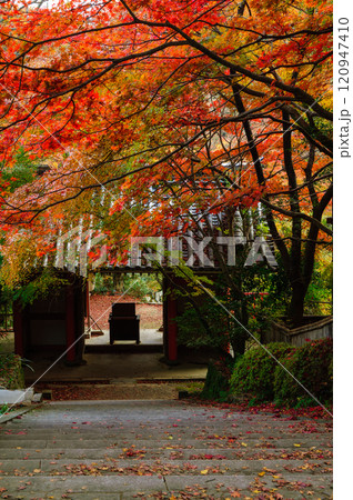 金蔵寺_1052 120947410