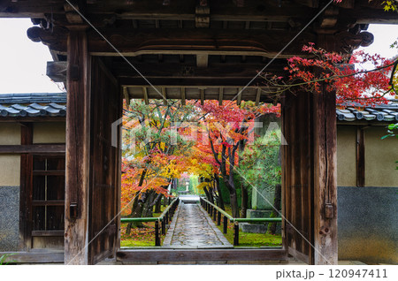 光悦寺_4264 120947411
