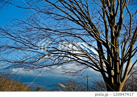 誰もいない公園から望む富士山 120947417