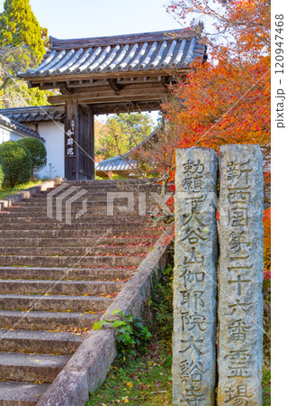 兵庫県三木市にある紅葉の綺麗な第二十六番札所 大谷山 大谿寺 伽耶院(だいけいじきゃらいん)の門 兵庫県三木市にある紅葉の綺麗な第二十六番札所 大谷山 大谿寺 伽耶院(だいけいじきゃらいん)の門 120947468