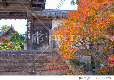 兵庫県三木市にある紅葉の綺麗な第二十六番札所 大谷山 大谿寺 伽耶院（だいけいじきゃらいん）の門 120947469