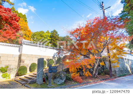 兵庫県三木市にある紅葉の綺麗な第二十六番札所 大谷山 大谿寺 伽耶院（だいけいじきゃらいん）の門 120947470