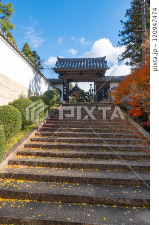 兵庫県三木市にある紅葉の綺麗な第二十六番札所 大谷山 大谿寺 伽耶院（だいけいじきゃらいん）の門 120947474
