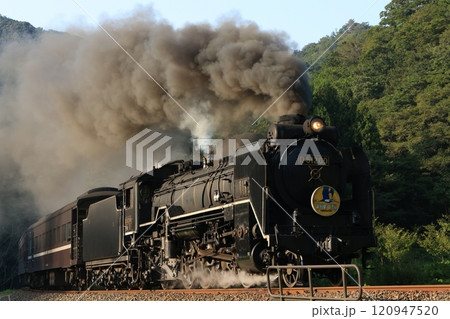SLやまぐち号 D51 5264 SLやまぐち号 D51 5264 120947520