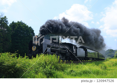 SLやまぐち号 D51 4661 SLやまぐち号 D51 4661 120947526