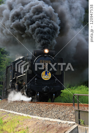 SLやまぐち号 D51   4583 SLやまぐち号 D51   4583 120947538