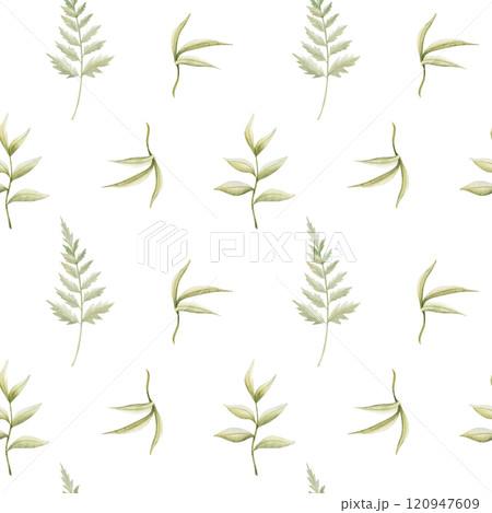 Watercolor fern leaves seamless pattern on white. Simple forest background with different foliage branches and green twigs for repeat designs and fabric printing. Minimalist woodland art 120947609